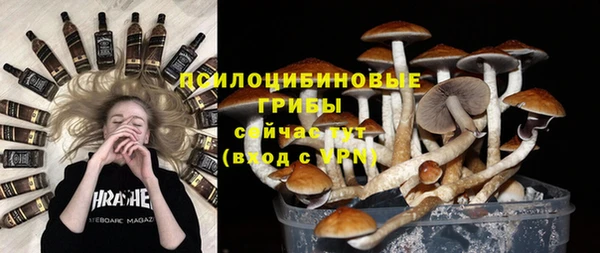 прущие крисы Алзамай