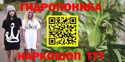 индика Уссурийск